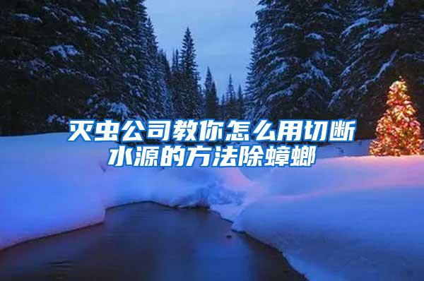 灭虫公司教你怎么用切断水源的方法除蟑螂