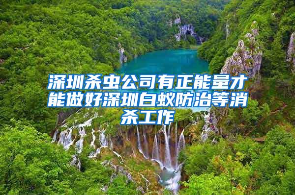 深圳杀虫公司有正能量才能做好深圳白蚁防治等消杀工作