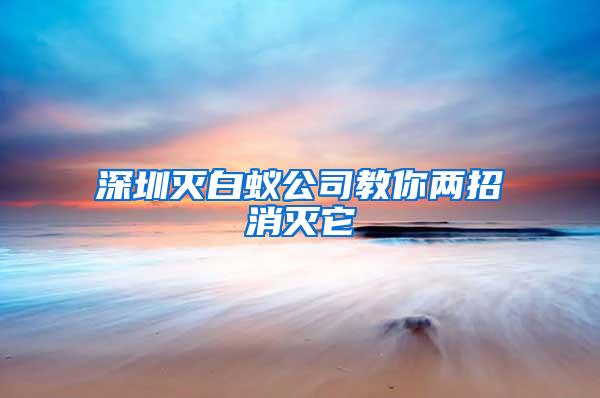 深圳灭白蚁公司教你两招消灭它