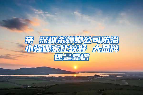 亲 深圳杀蟑螂公司防治小强哪家比较好 大品牌还是靠谱