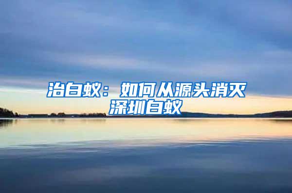 治白蚁：如何从源头消灭深圳白蚁