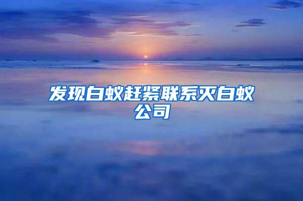 发现白蚁赶紧联系灭白蚁公司