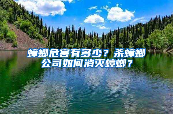 蟑螂危害有多少？杀蟑螂公司如何消灭蟑螂？