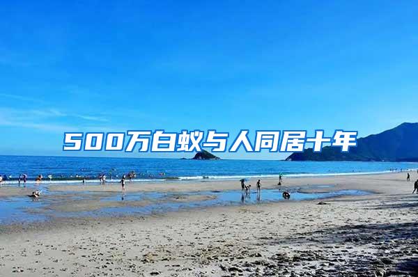 500万白蚁与人同居十年