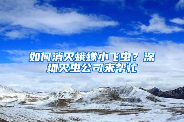 如何消灭蛾蠓小飞虫？深圳灭虫公司来帮忙