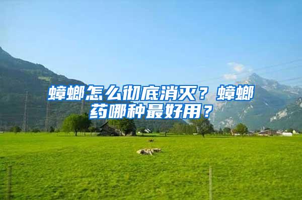 蟑螂怎么彻底消灭？蟑螂药哪种最好用？