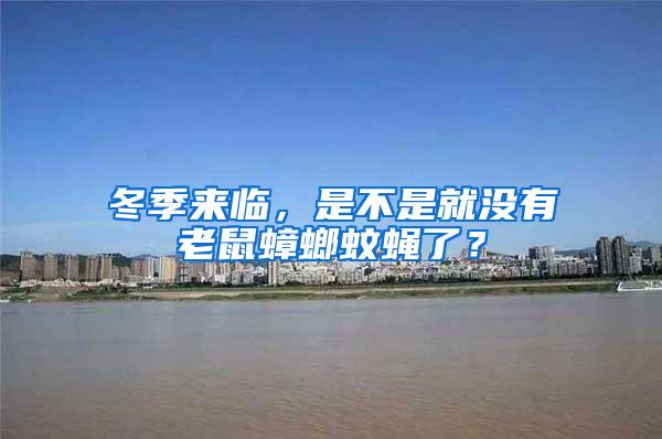 冬季来临，是不是就没有老鼠蟑螂蚊蝇了？