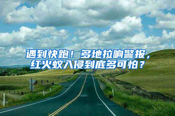 遇到快跑！多地拉响警报，红火蚁入侵到底多可怕？