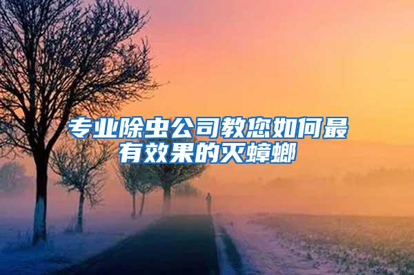 专业除虫公司教您如何最有效果的灭蟑螂