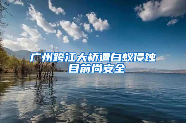 广州跨江大桥遭白蚁侵蚀 目前尚安全