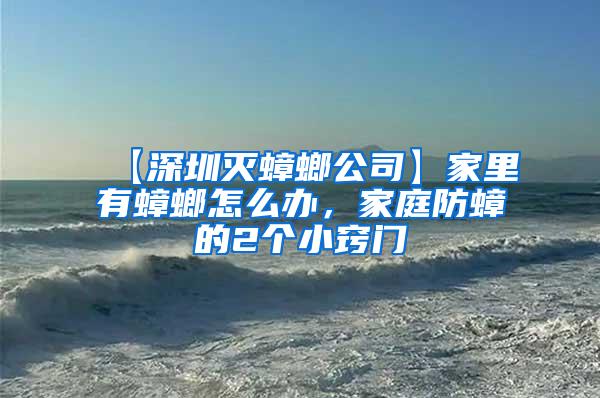 【深圳灭蟑螂公司】家里有蟑螂怎么办，家庭防蟑的2个小窍门