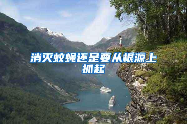 消灭蚊蝇还是要从根源上抓起