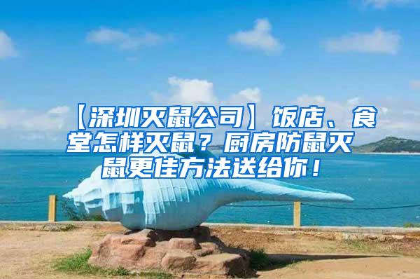 【深圳灭鼠公司】饭店、食堂怎样灭鼠？厨房防鼠灭鼠更佳方法送给你！