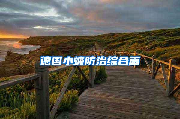 德国小蠊防治综合篇