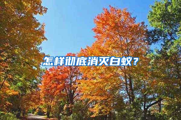 怎样彻底消灭白蚁？