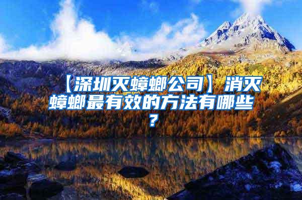 【深圳灭蟑螂公司】消灭蟑螂最有效的方法有哪些？