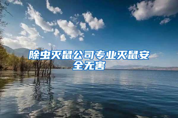 除虫灭鼠公司专业灭鼠安全无害