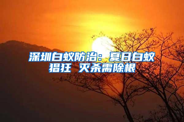 深圳白蚁防治：夏日白蚁猖狂 灭杀需除根