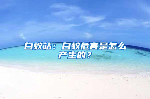 白蚁站：白蚁危害是怎么产生的？