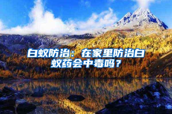 白蚁防治：在家里防治白蚁药会中毒吗？