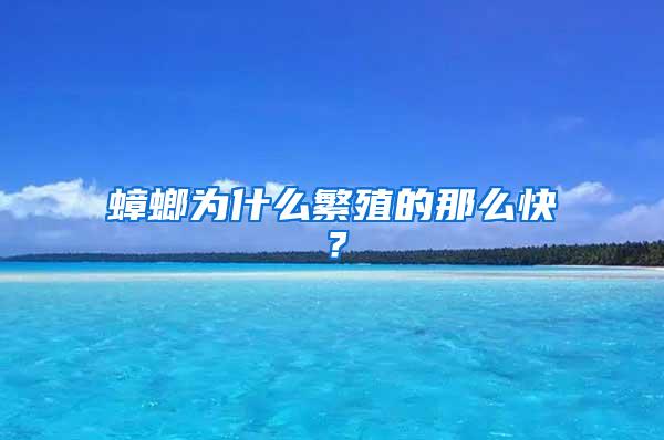 蟑螂为什么繁殖的那么快？