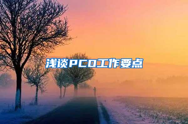 浅谈PCO工作要点