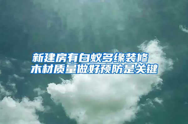 新建房有白蚁多缘装修 木材质量做好预防是关键