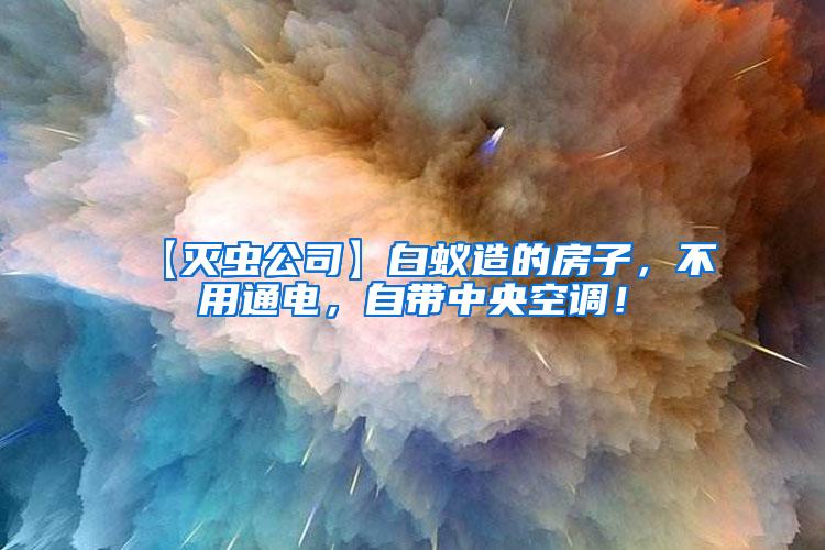 【灭虫公司】白蚁造的房子，不用通电，自带中央空调！