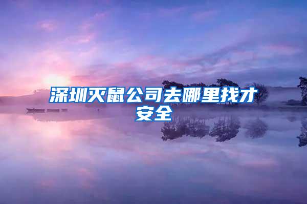 深圳灭鼠公司去哪里找才安全