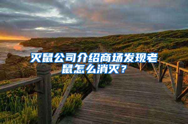 灭鼠公司介绍商场发现老鼠怎么消灭？