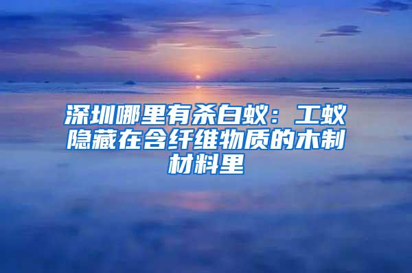 深圳哪里有杀白蚁：工蚁隐藏在含纤维物质的木制材料里