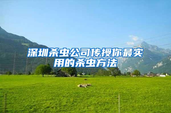 深圳杀虫公司传授你最实用的杀虫方法