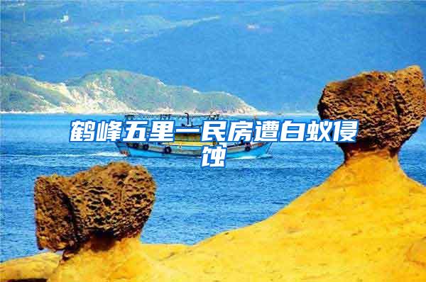 鹤峰五里一民房遭白蚁侵蚀