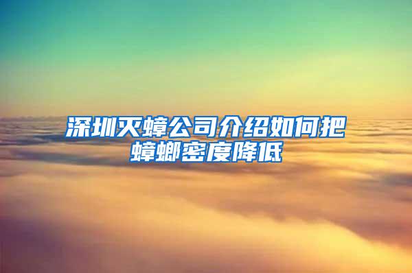 深圳灭蟑公司介绍如何把蟑螂密度降低