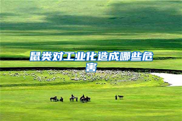 鼠类对工业化造成哪些危害