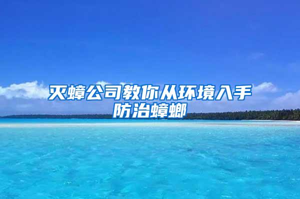 灭蟑公司教你从环境入手防治蟑螂