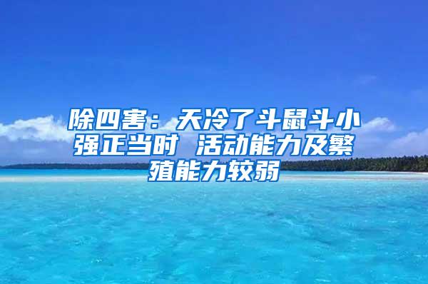 除四害：天冷了斗鼠斗小强正当时 活动能力及繁殖能力较弱