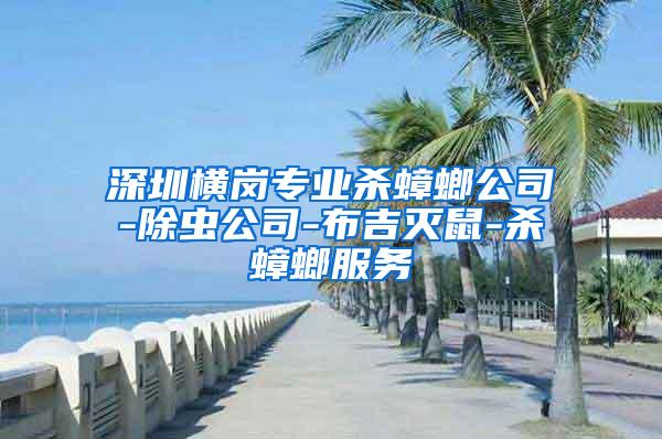 深圳横岗专业杀蟑螂公司-除虫公司-布吉灭鼠-杀蟑螂服务