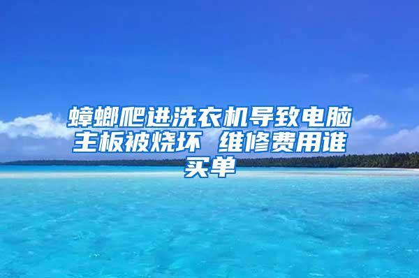 蟑螂爬进洗衣机导致电脑主板被烧坏 维修费用谁买单