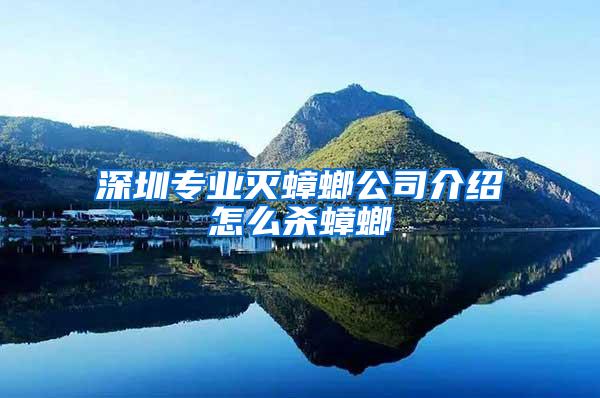 深圳专业灭蟑螂公司介绍怎么杀蟑螂