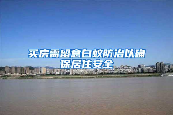 买房需留意白蚁防治以确保居住安全