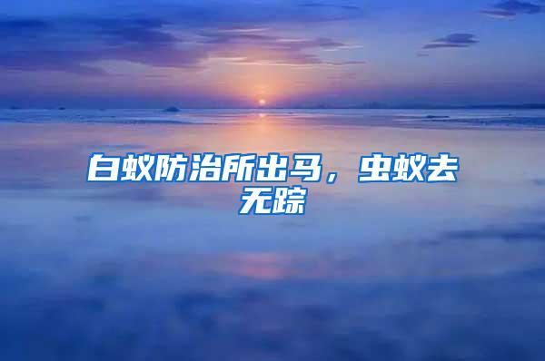 白蚁防治所出马，虫蚁去无踪