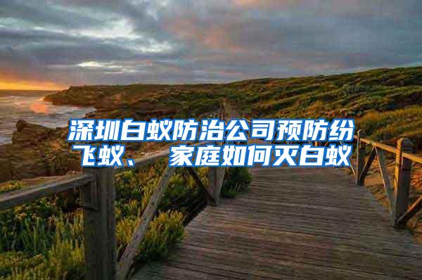 深圳白蚁防治公司预防纷飞蚁、 家庭如何灭白蚁