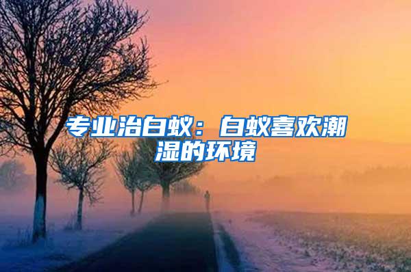 专业治白蚁：白蚁喜欢潮湿的环境