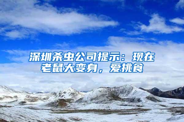 深圳杀虫公司提示：现在老鼠大变身，爱挑食