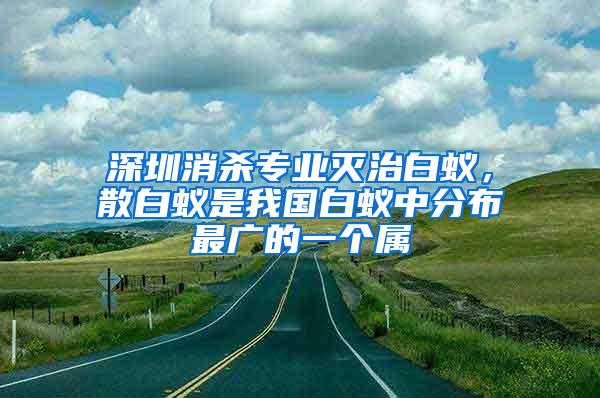 深圳消杀专业灭治白蚁，散白蚁是我国白蚁中分布最广的一个属