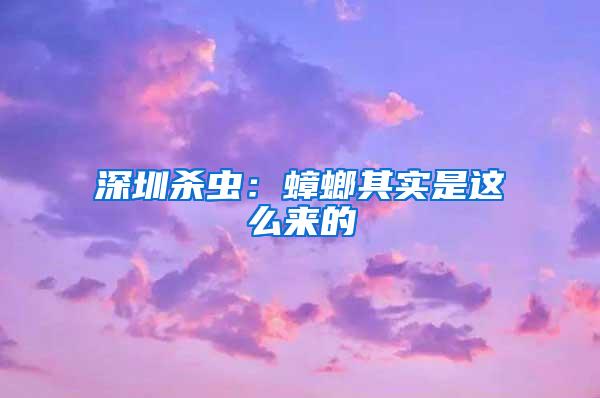 深圳杀虫：蟑螂其实是这么来的