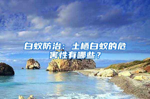 白蚁防治：土栖白蚁的危害性有哪些？