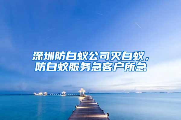 深圳防白蚁公司灭白蚁，防白蚁服务急客户所急