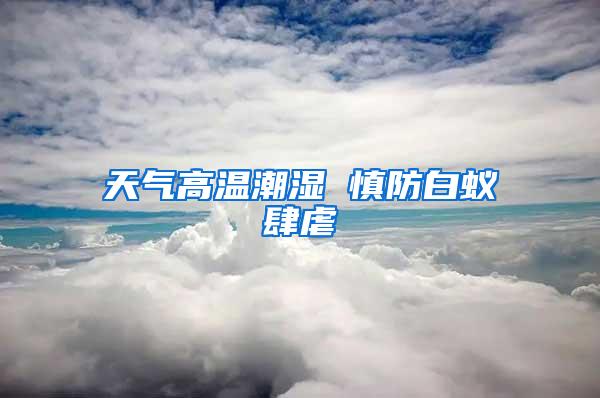 天气高温潮湿 慎防白蚁肆虐